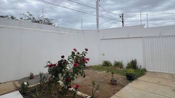 Quintal residencial com um pátio de concreto, plantas em vasos e uma parede branca.