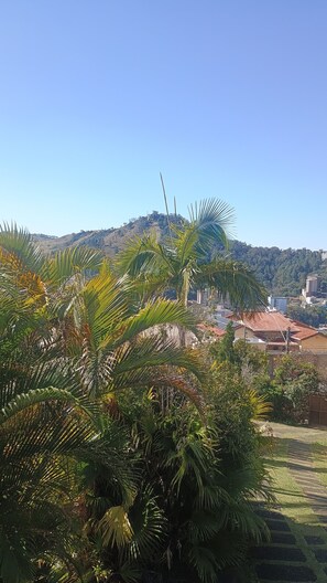 Zona residencial con una colina al fondo, palmeras en primer plano y un cielo azul despejado.