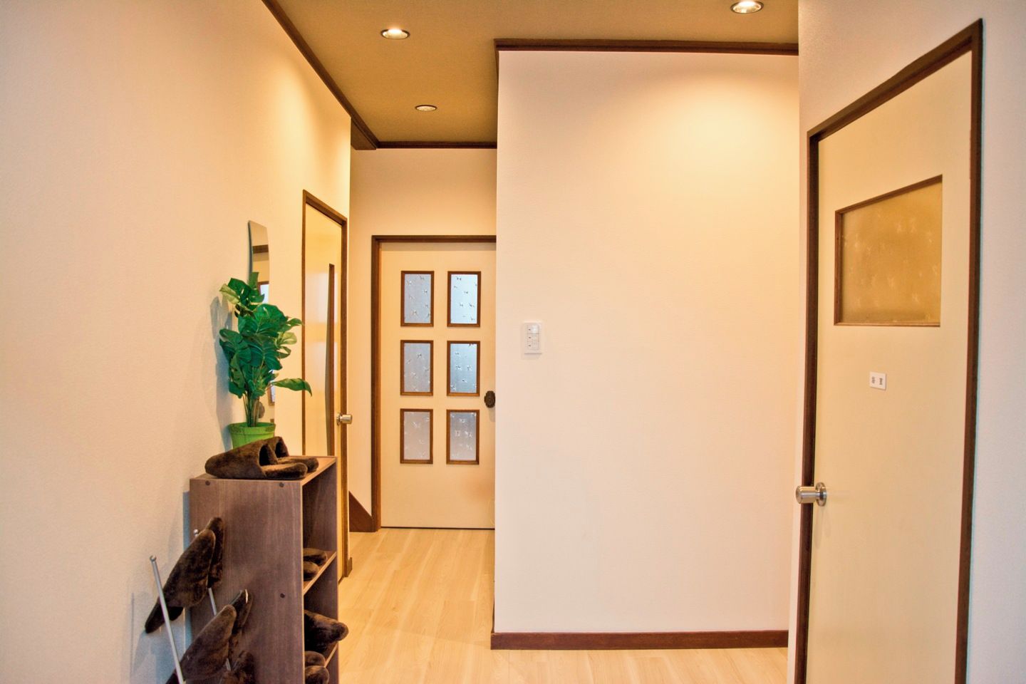 A hallway with a wooden shoe rack, a potted plant, and a door with frosted glass panels.