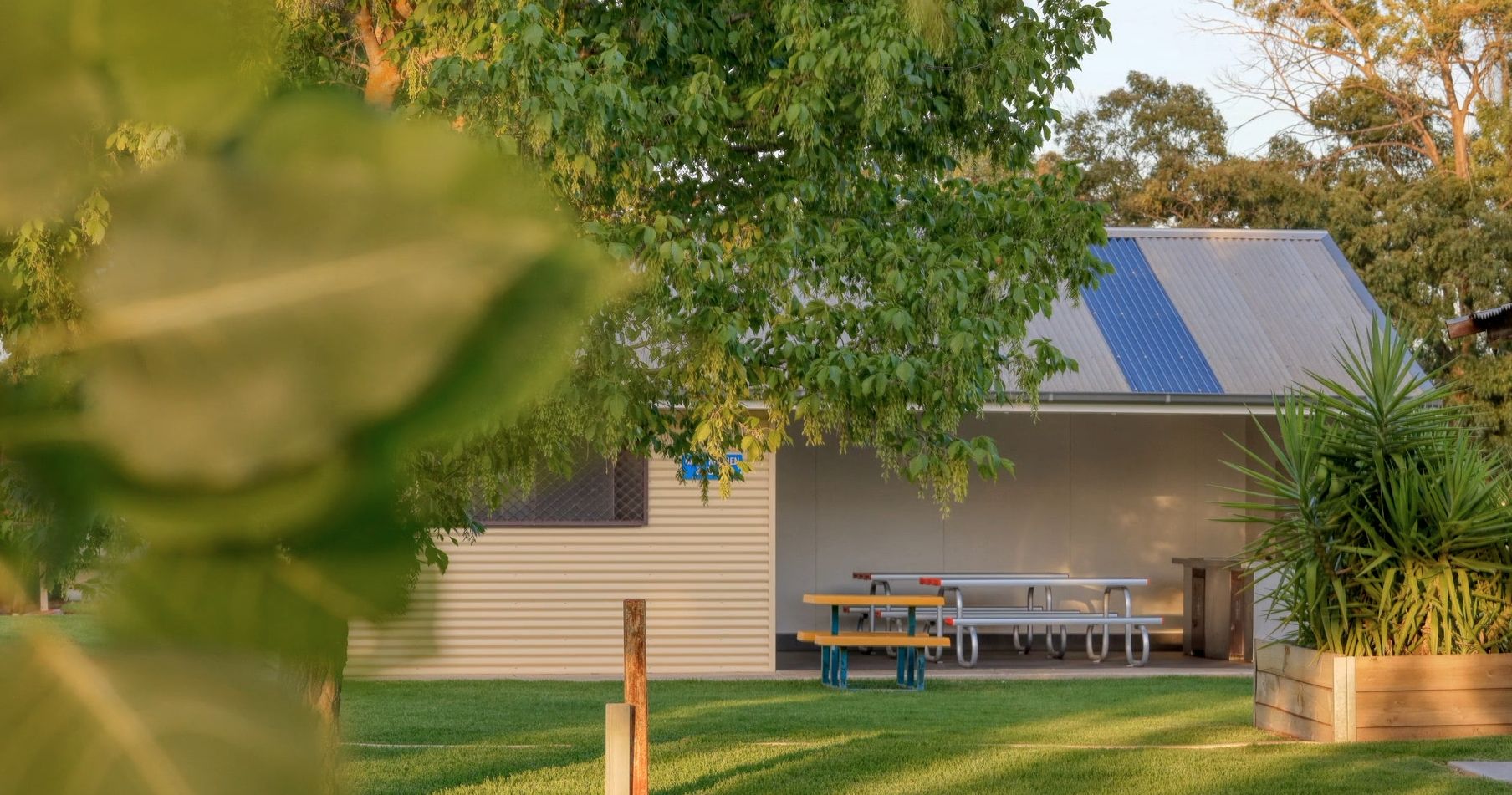 A residential area with a house, a barbecue area, and a tree.