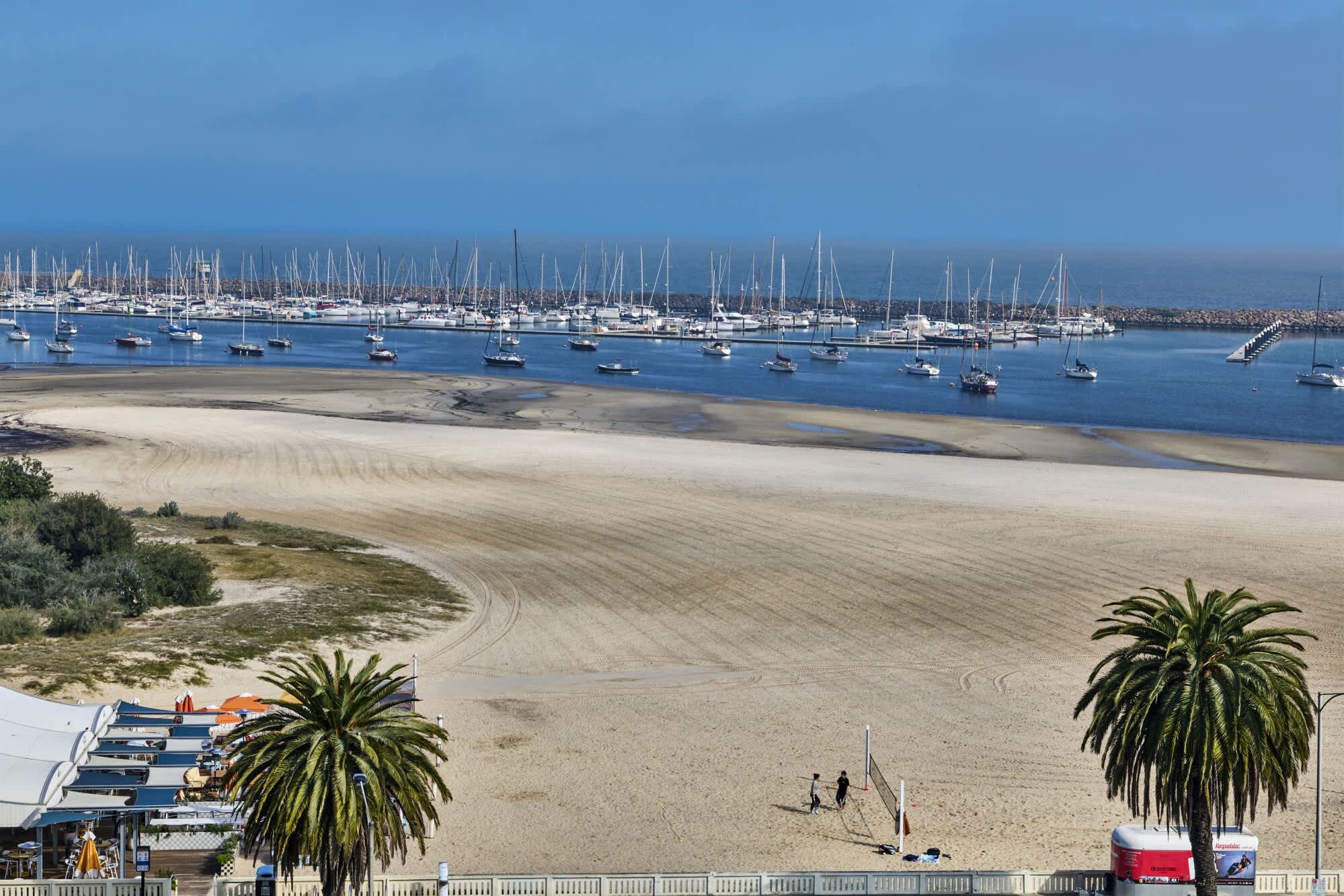 Ein Strand mit einer Marina voller Segelboote, Palmen und einem sandigen Ufer.