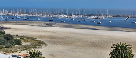 Ein Strand mit einer Marina voller Segelboote, Palmen und einem sandigen Ufer.