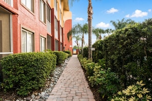 A pathway flanked by neatly trimmed hedges and a building with multiple windows and balconies.