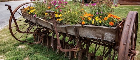 An old-fashioned wheelbarrow filled with colorful flowers, placed on grass in front of a wooden cabin.