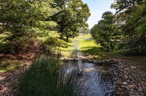 A tranquil pond with a fountain, surrounded by lush greenery and trees. - Branson | Family Ozarks Retreat | Pool + Fitness (Ridgedale)