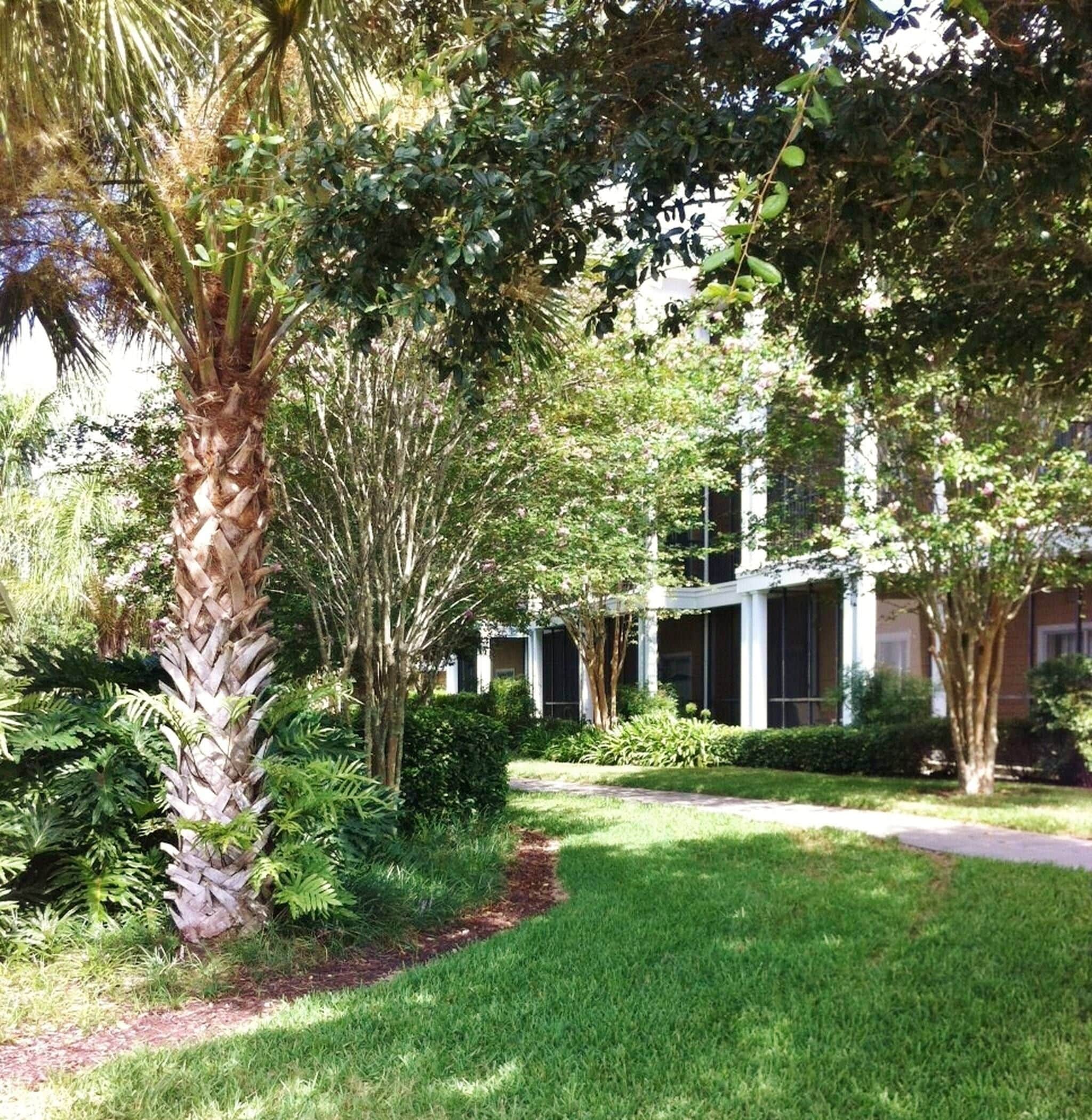 A well-maintained garden with a variety of trees and shrubs, a clear pathway, and a building with large windows in the background.