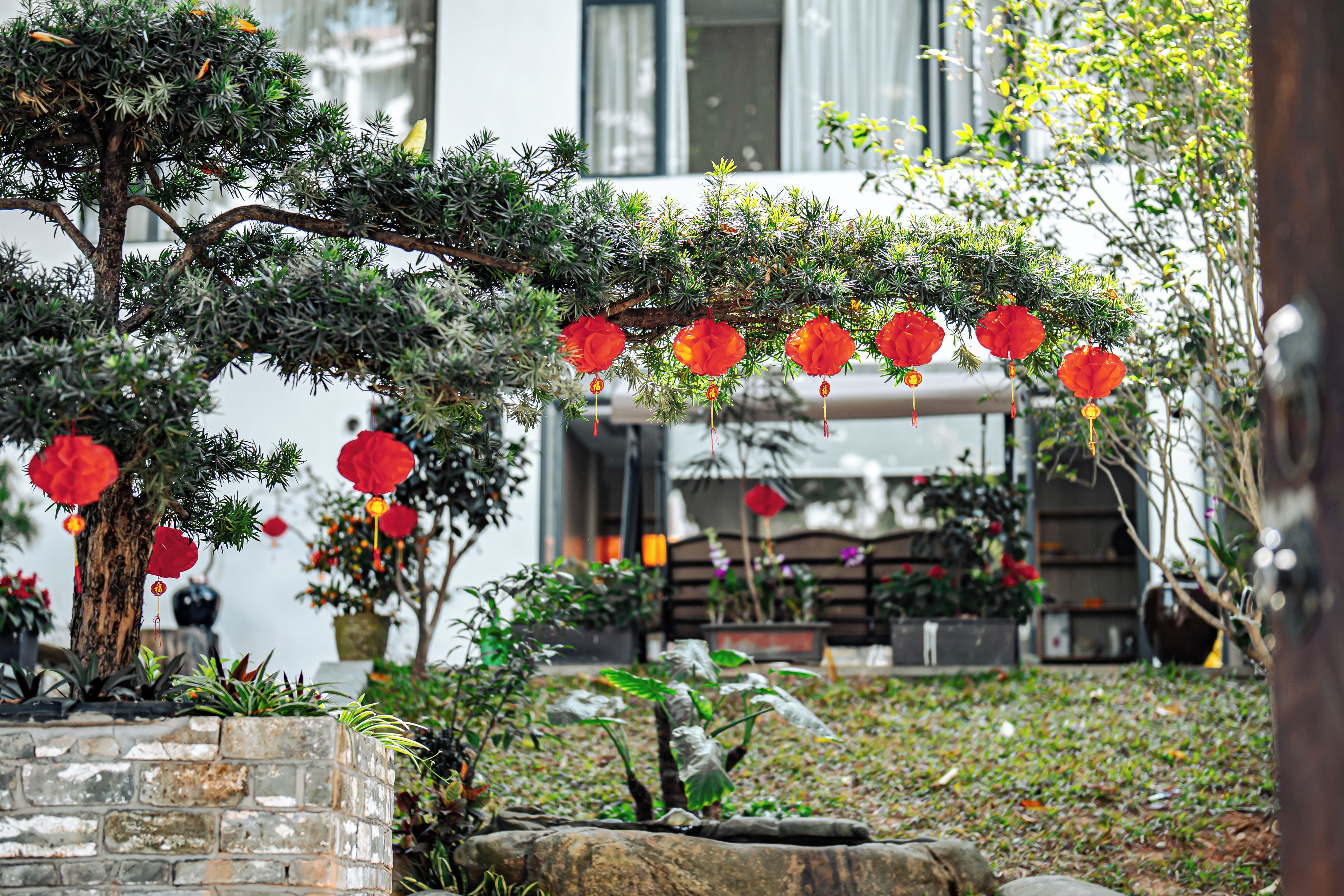 Un jardín con un árbol, faroles rojos y un muro de piedra.