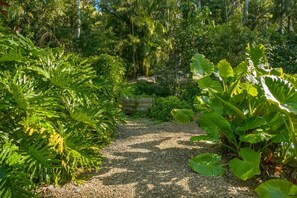 Ein Gartenweg, umgeben von üppigem Grün und Bäumen.