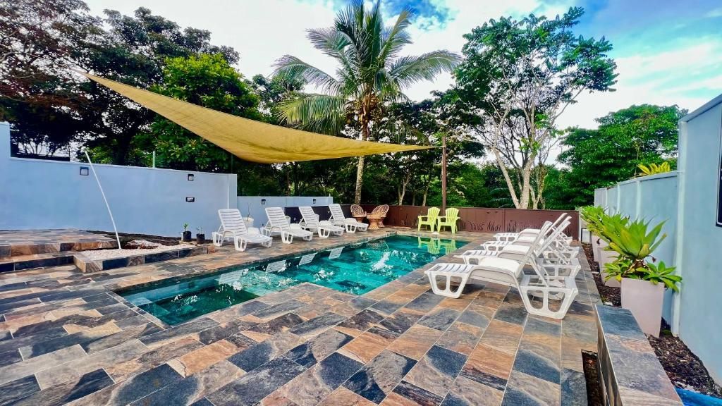A swimming pool with lounge chairs and a shaded area, surrounded by greenery and a white wall.