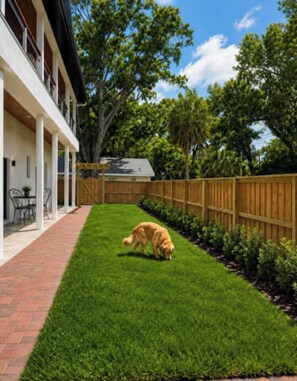 Ein Garten mit Holzzaun, gepflegtem Rasen und einem Hund.