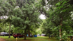 Property grounds - Shaded Grove Campsites - Shaded Grove Campsites (Rockbridge)