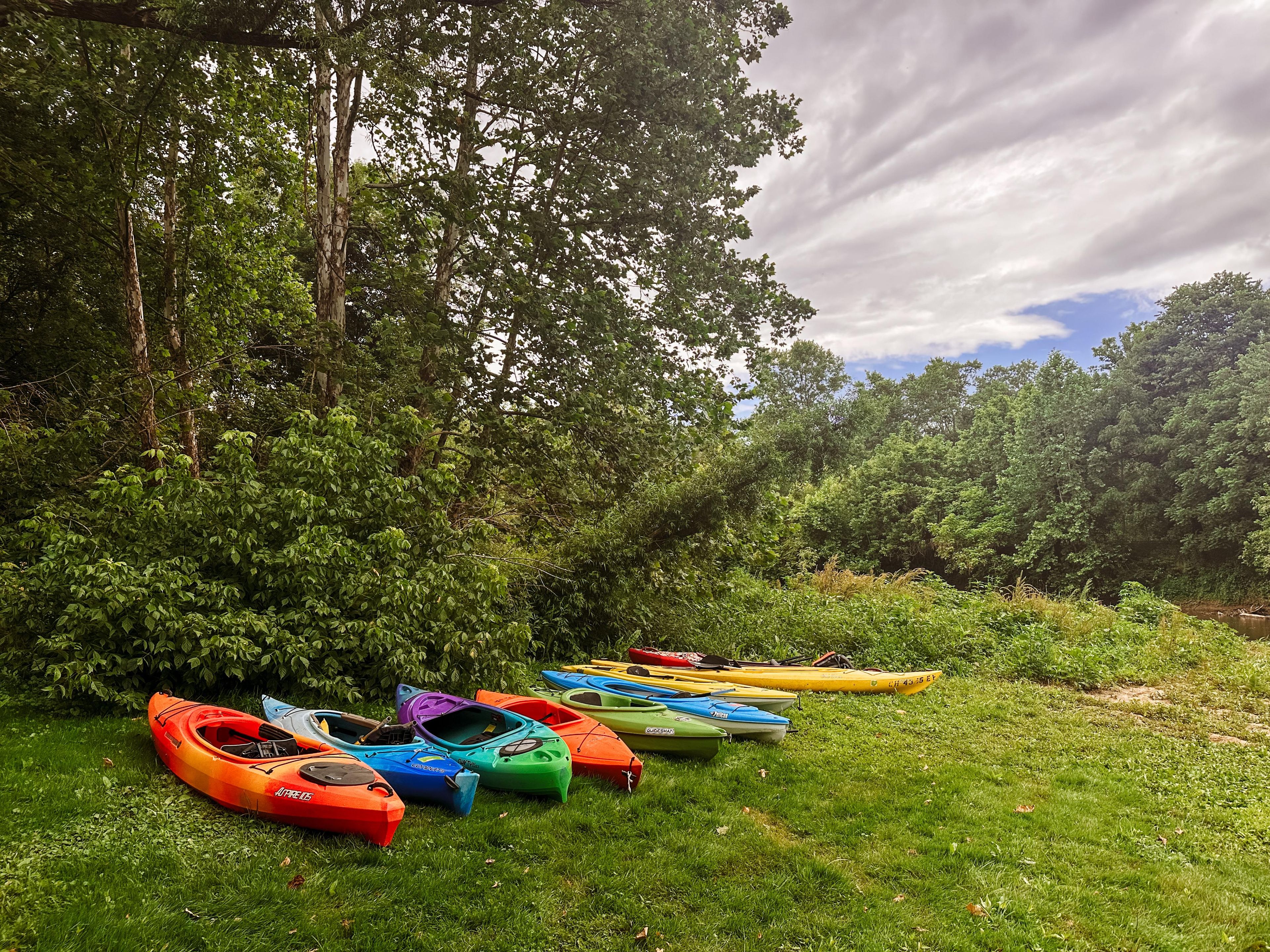 A grassy area with several colorful kayaks lined up.