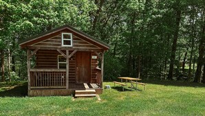 A wooden cabin with a porch and a picnic table in a grassy area surrounded by trees. - Yeti Rustic Cabin - Yeti Rustic Cabin rates are based on 4 guests, maximum of 6 guests (Rockbridge)
