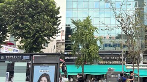 Edificio moderno con fachada de vidrio, rodeado de árboles y una calle con vehículos y peatones.