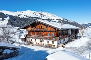 Exterior - Vrbo Property (Kirchberg in Tirol)