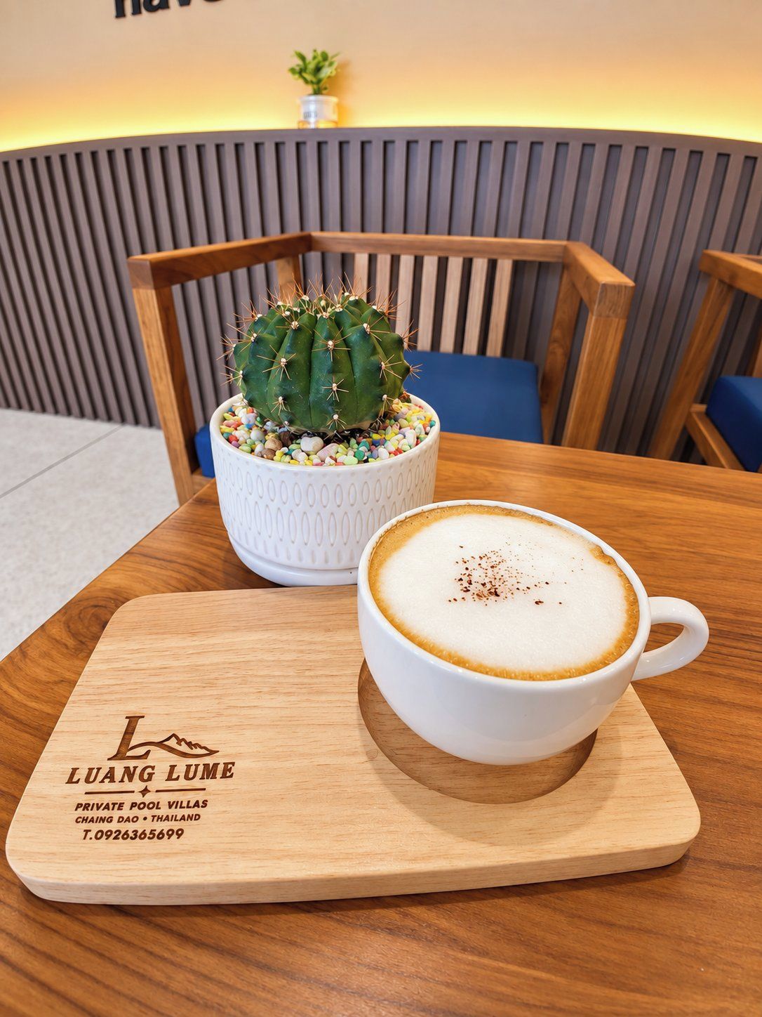 Una mesa de madera con una taza blanca de café y un cactus en una maceta blanca.