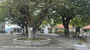 A courtyard with a large tree in the center, surrounded by stone paving and benches.