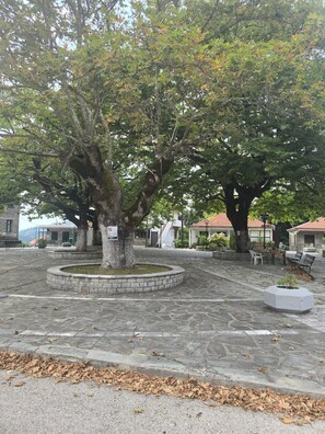 A courtyard with a large tree in the center, surrounded by stone paving and benches. - Oniropagida House in Beautiful Nature (Central Tzoumerka)