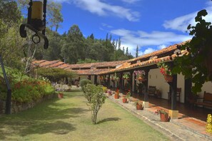 A courtyard with a tiled roof, potted plants, and a small tree. - Hospederia y Centro de Convenciones Duruelo (Villa de Leyva)