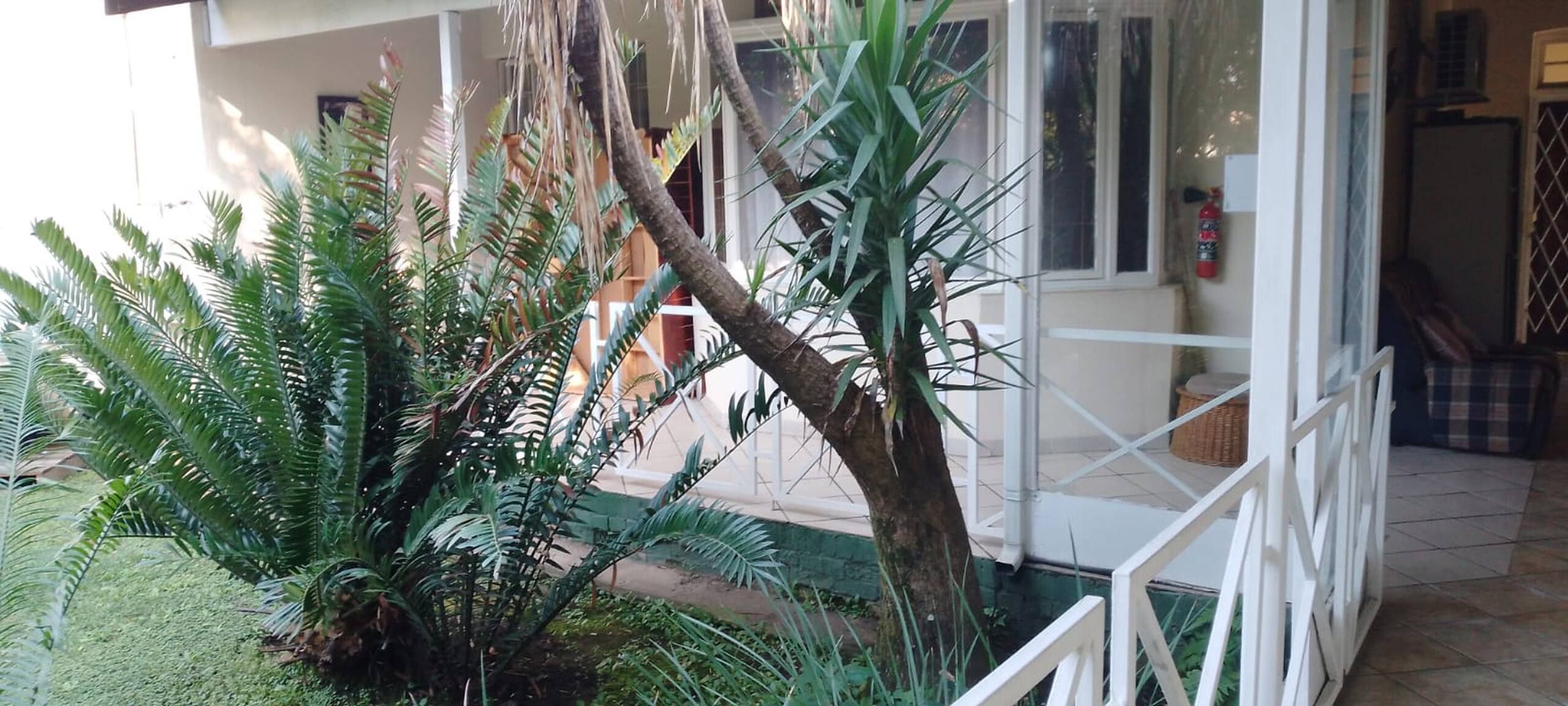 A building with a white exterior, a glass door, and a small garden area with various plants.