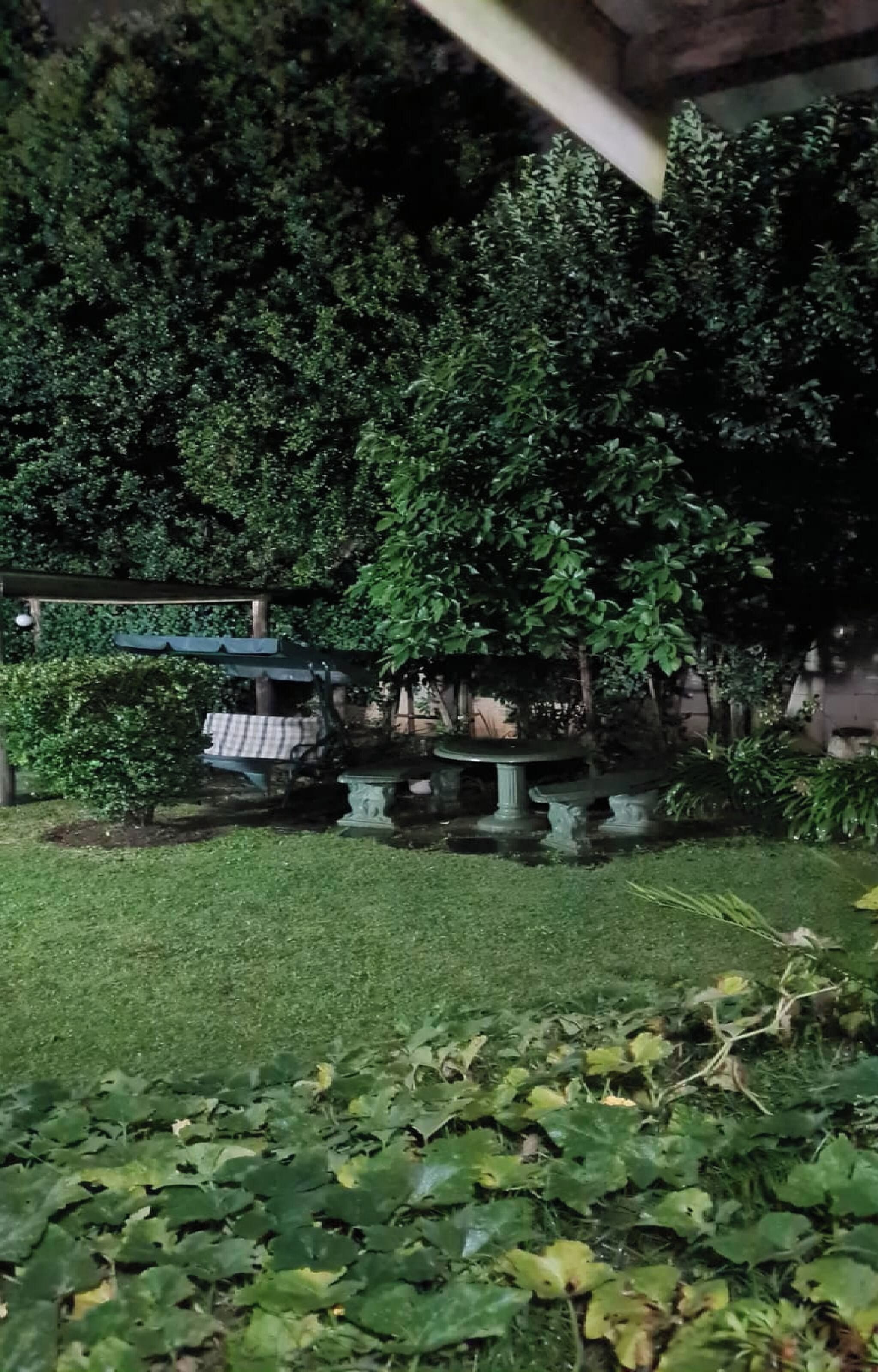 Un jardin avec une table et des chaises, entouré d’un feuillage dense.