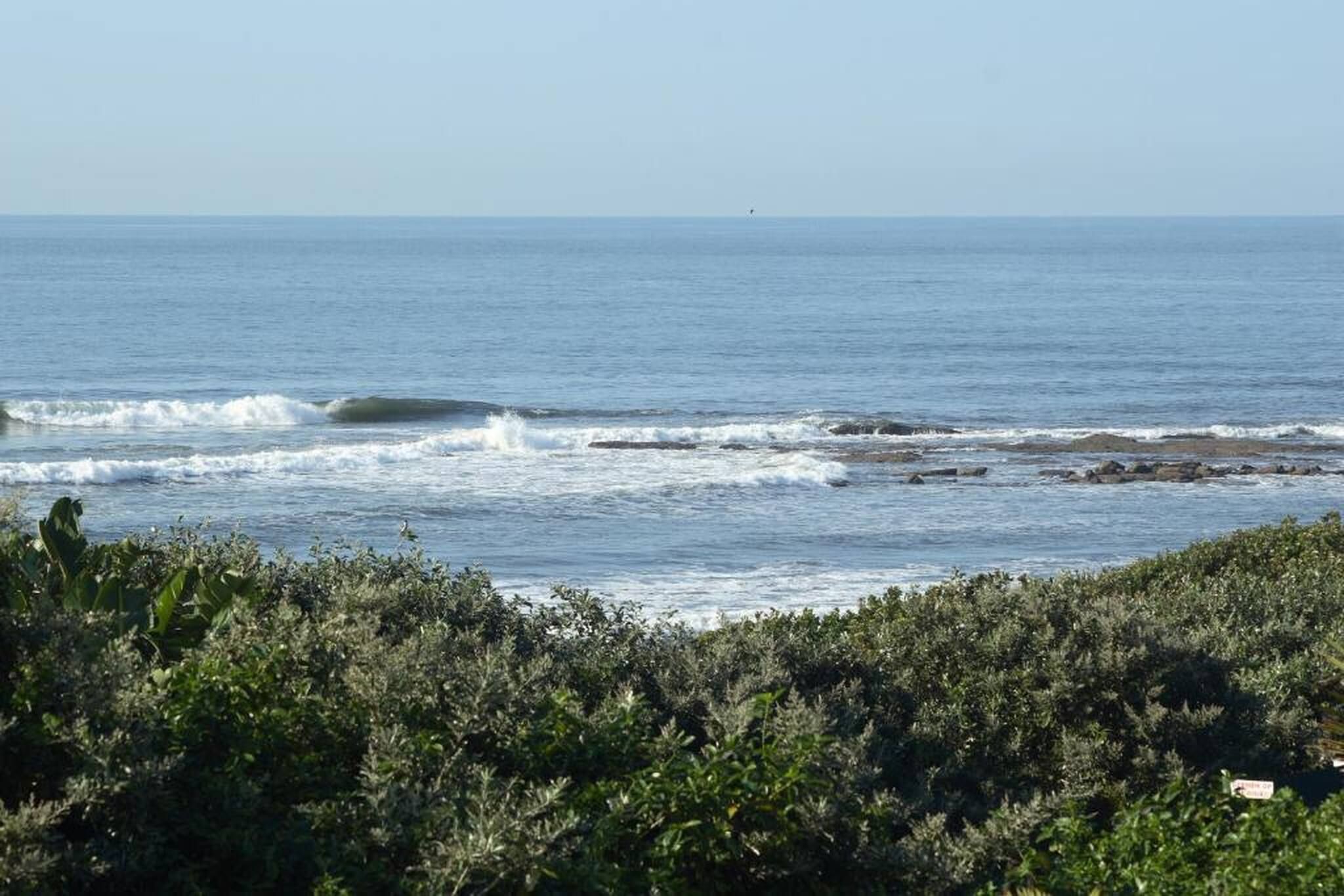 A coastal landscape with waves, a distant buoy, and dense vegetation.