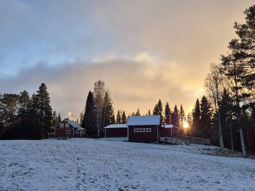 Forest idyll in Jämtland — pure peace & nature