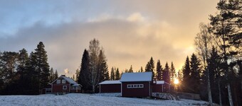 Forest idyll in Jämtland — pure peace & nature