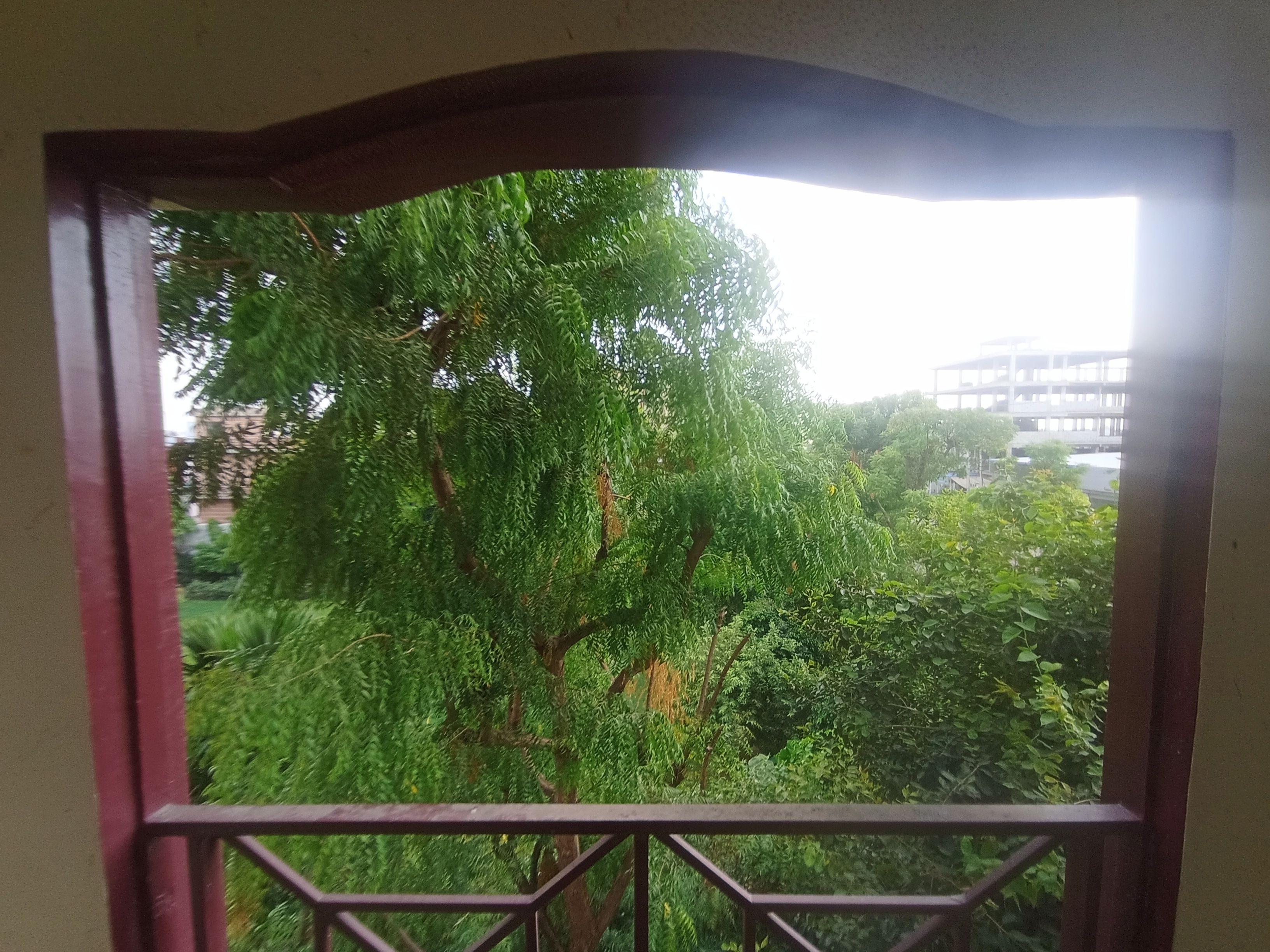 Vista a través de una ventana con barandilla de metal, mostrando un follaje verde denso y un edificio al fondo.