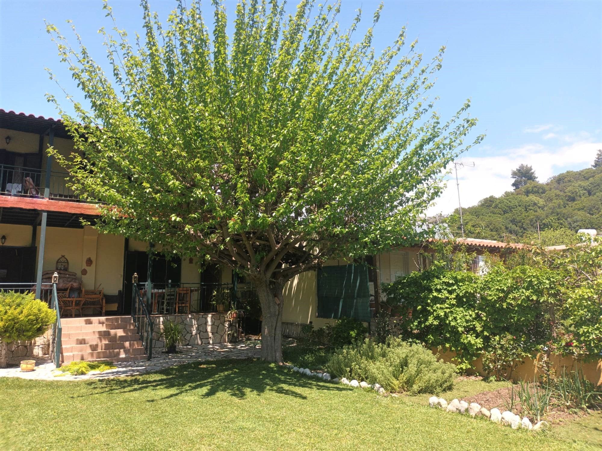 外觀