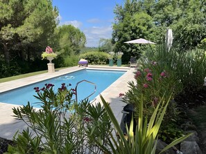 En swimmingpool med tilhørende have, liggestol og parasol.