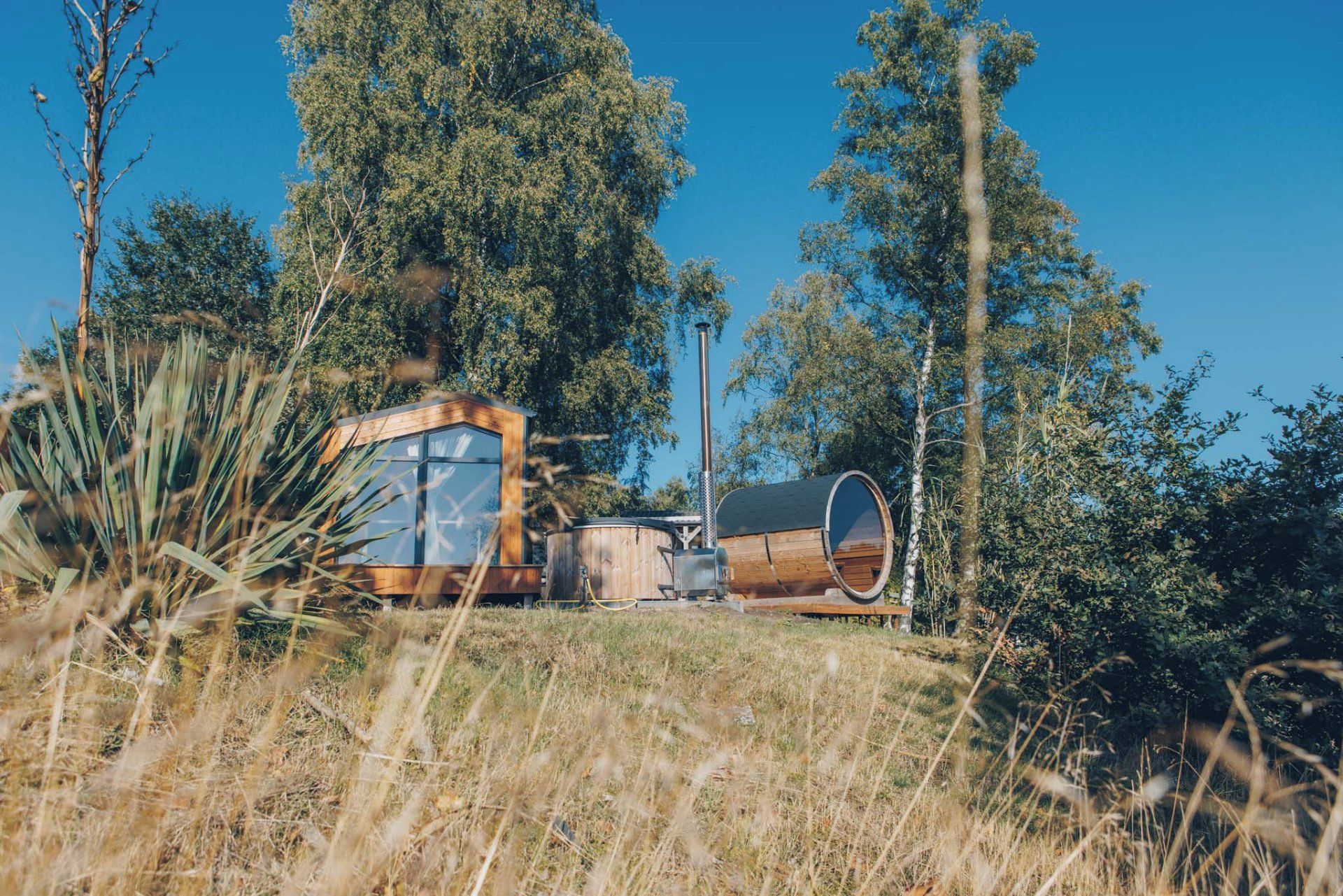 Een rustieke blokhut met een groot raam, schoorsteen en dakraam, omringd door hoge bomen en dor gras.