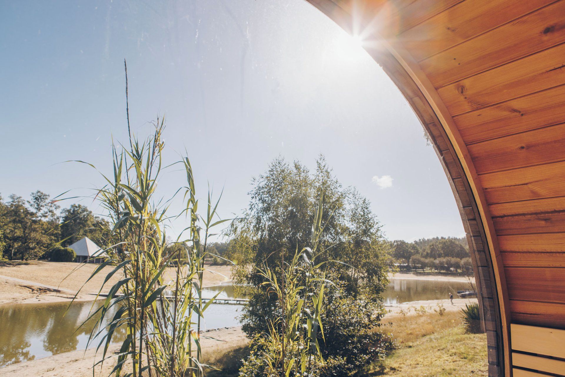 A wooden structure with a curved roof overlooking a body of water and vegetation.