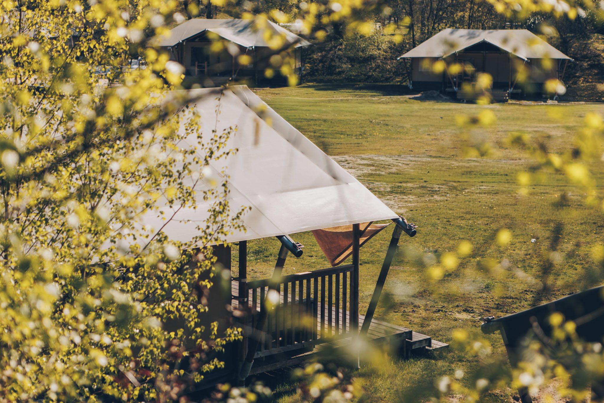 Un terrain de camping avec des tentes et une structure en bois dotée d’un toit.