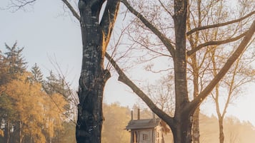 Un parc avec de grands arbres et une structure en bois.