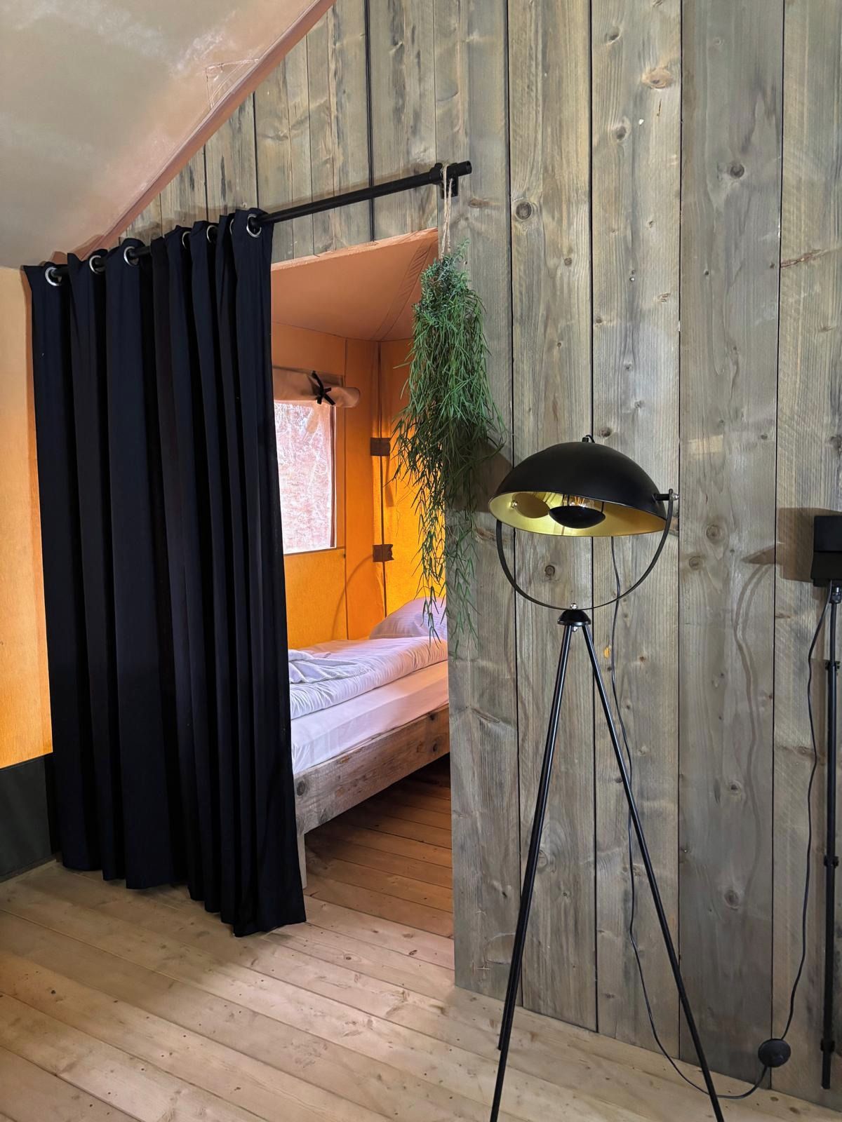 Une pièce avec un lit, une plante suspendue, un lampadaire et un rideau.