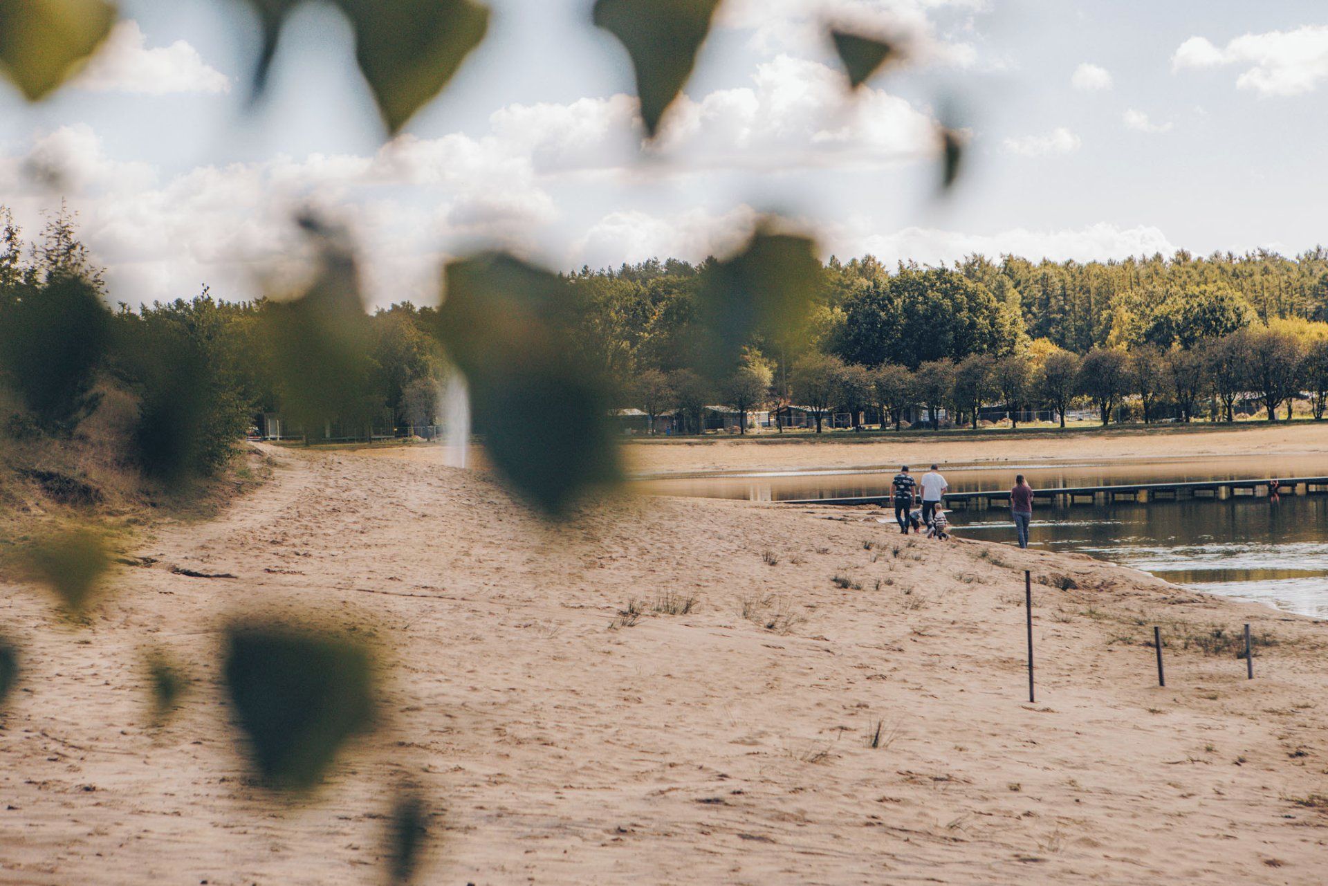 A sandy beach with a calm water body, trees in the background, and a few people walking.