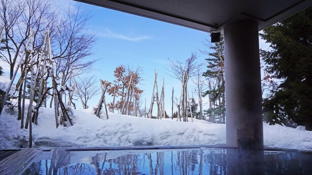 Un espace piscine offrant une vue sur des arbres couverts de neige et un ciel dégagé.