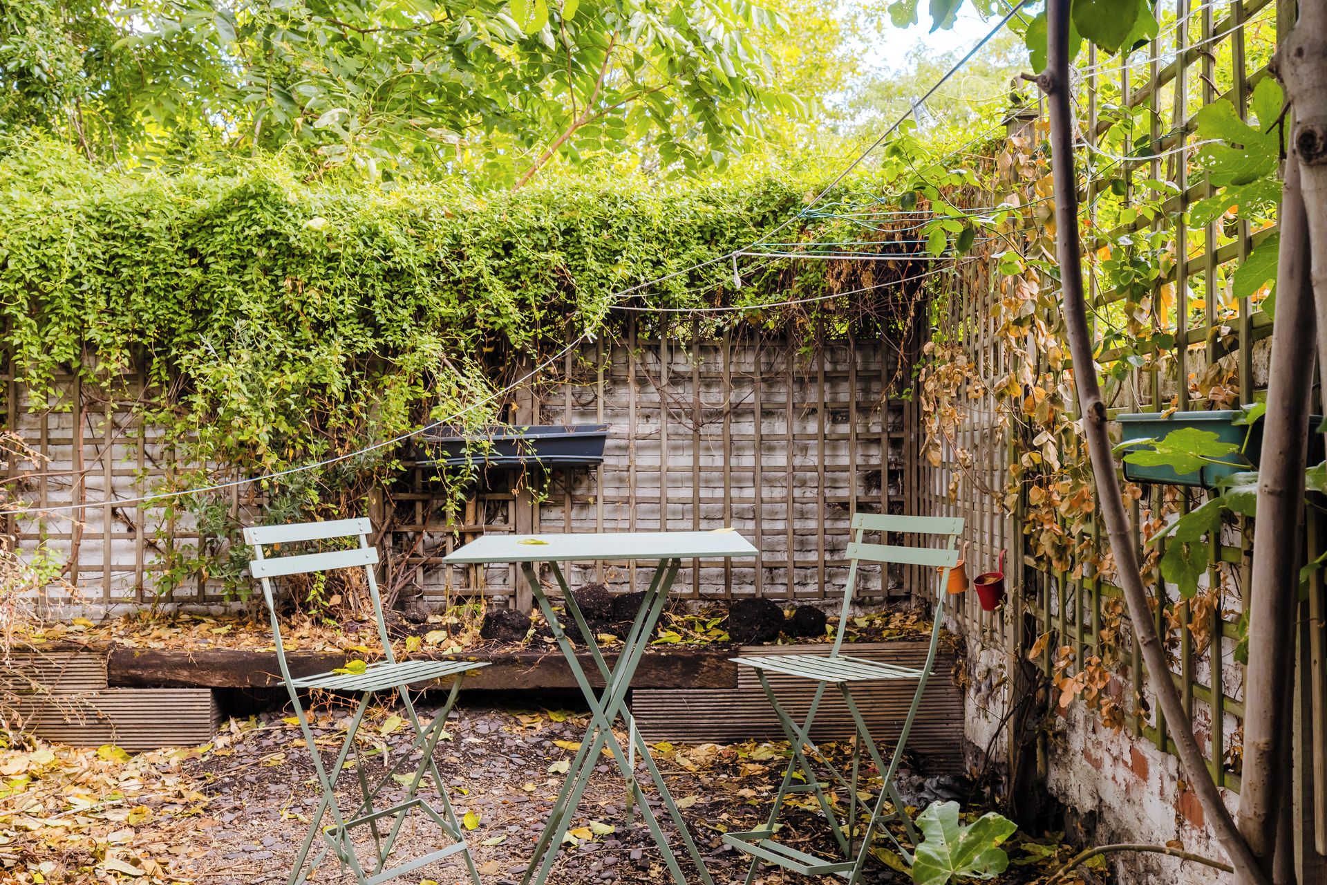 A garden with a table and chairs, a brick wall, and climbing plants.