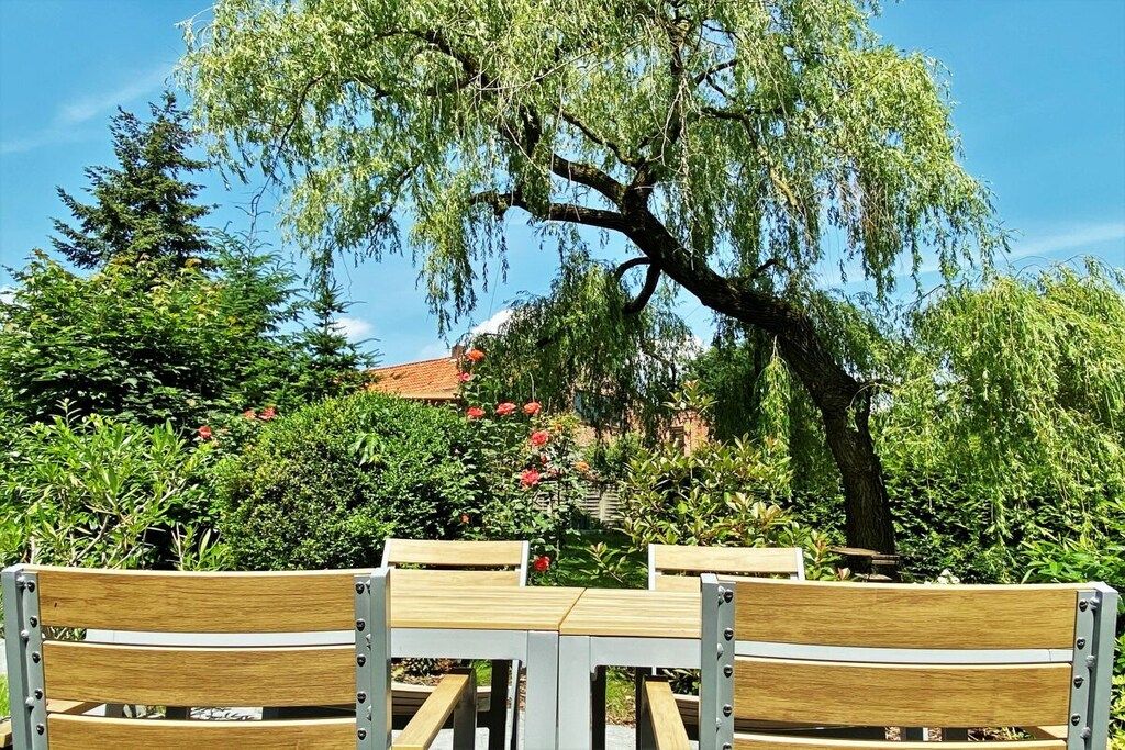 Zona salotto all'aperto con panche in legno e un tavolo, circondata da vegetazione lussureggiante e un grande albero.