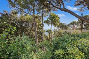 A garden with various trees and shrubs, a clear sky, and a building in the background.