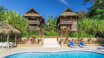 A pool area with two thatched-roof structures, a clear blue pool, and a variety of tropical plants.
