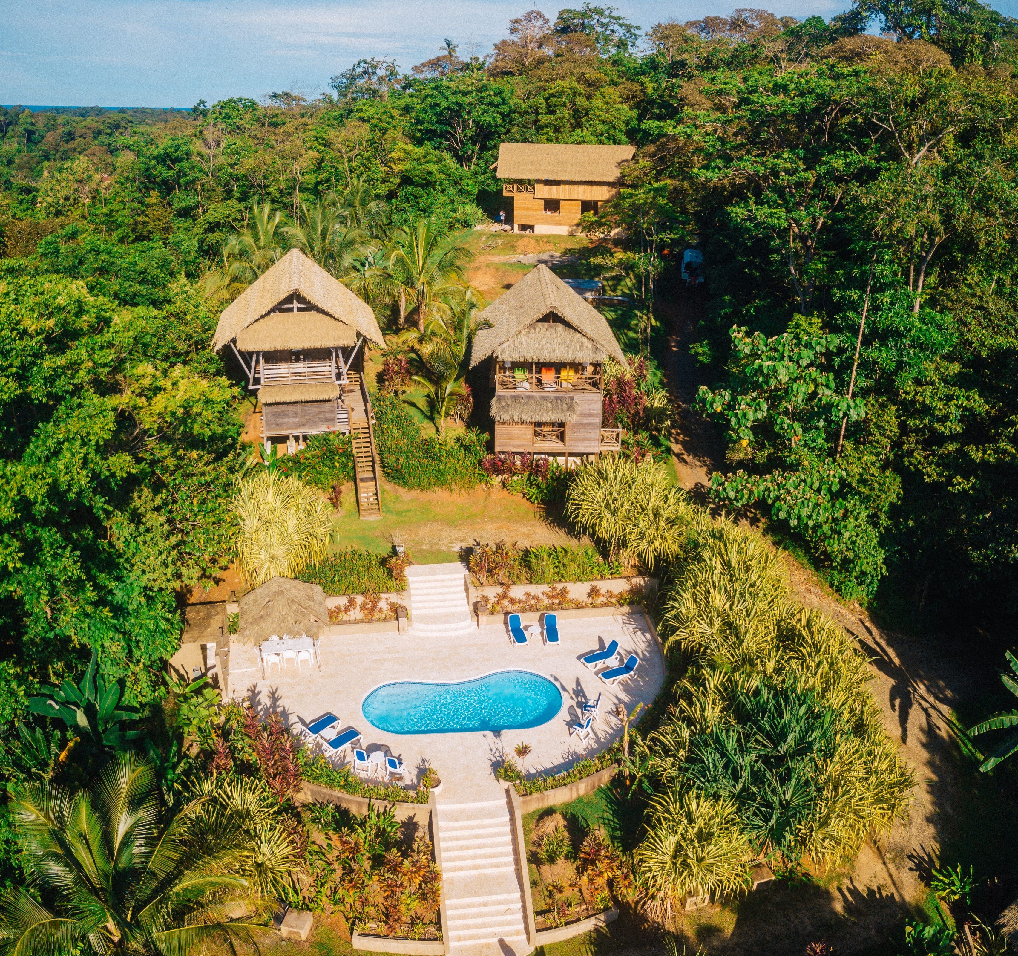 An aerial view of a resort with a swimming pool, lounge chairs, and thatched-roof buildings surrounded by dense vegetation.