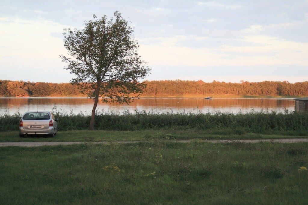 Ein Auto in der Nähe eines Sees, im Vordergrund ein Baum und im Hintergrund ein Steg.