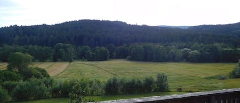 Vista desde una terraza de madera con vista a un campo cubierto de hierba y una colina boscosa al fondo.