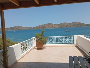 A balcony with a view of the sea, a potted plant, and a white railing.
