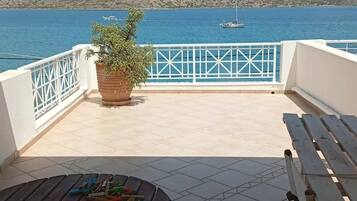 Una terraza con vistas al mar, una planta en maceta y una mesa con sillas.