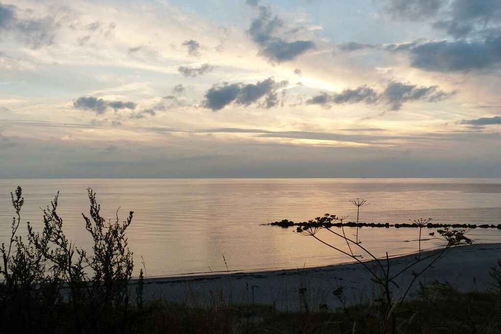 A coastal landscape with a calm sea, a sandy beach, and sparse vegetation.