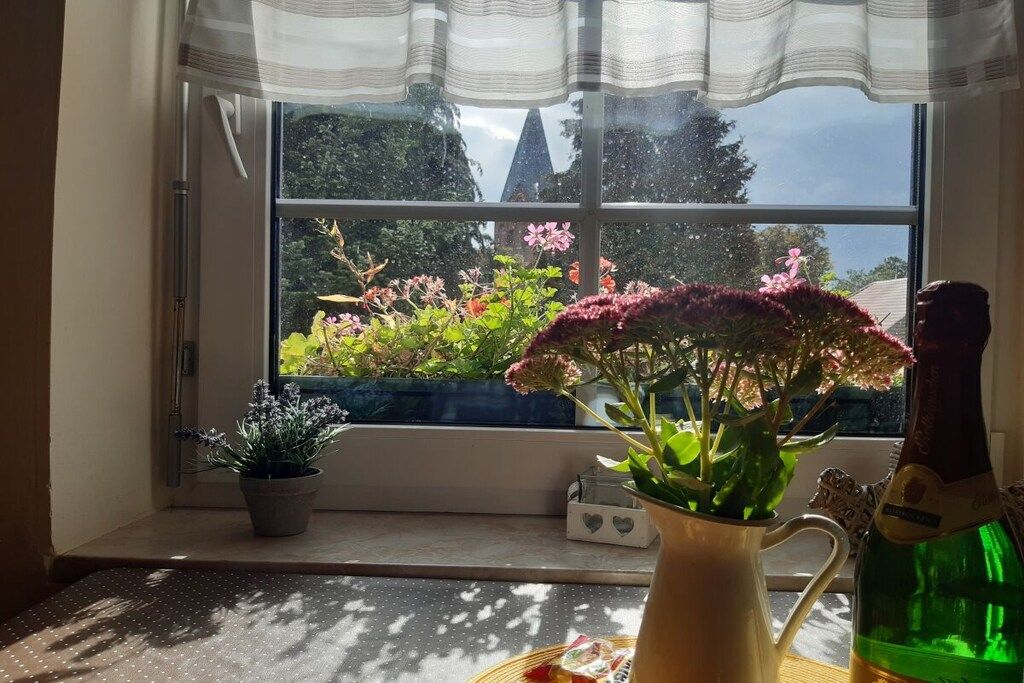 Une fenêtre donnant sur un paysage verdoyant et un bâtiment, une plante en pot sur le rebord de la fenêtre et une bouteille également posée sur le rebord.