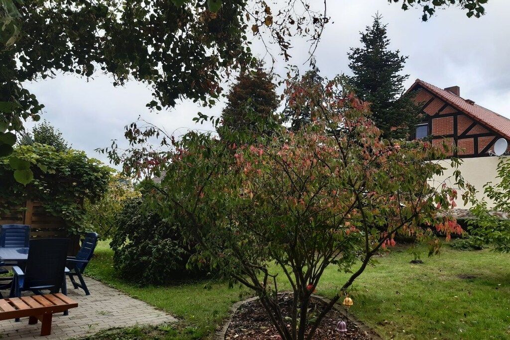 A garden with a wooden bench, a table with chairs, and a tree with pink blossoms.